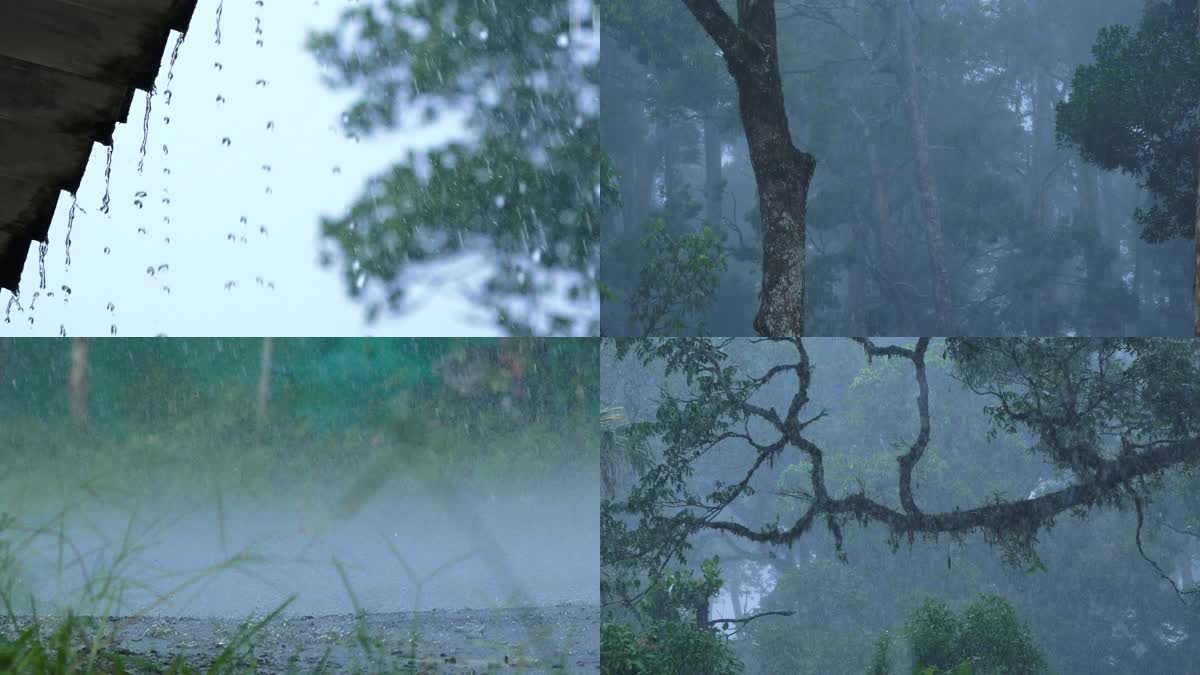 RAIN UPDATES KERALA  മഴ മുന്നറിയിപ്പ്  കാലാവസ്ഥ മുന്നറിയിപ്പ്  KERALA RAIN AND WEATHER UPDATES