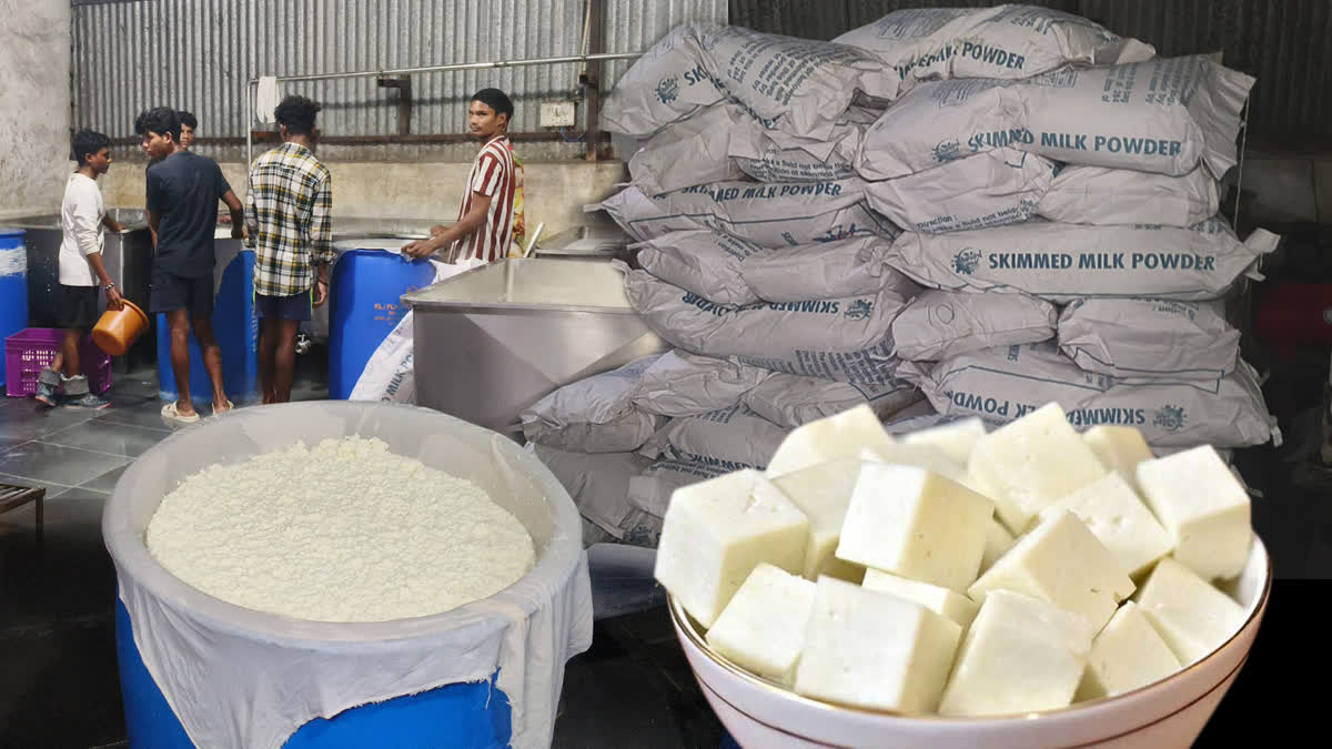 SYNTHETIC CHEESE FACTORY IN BHILAI