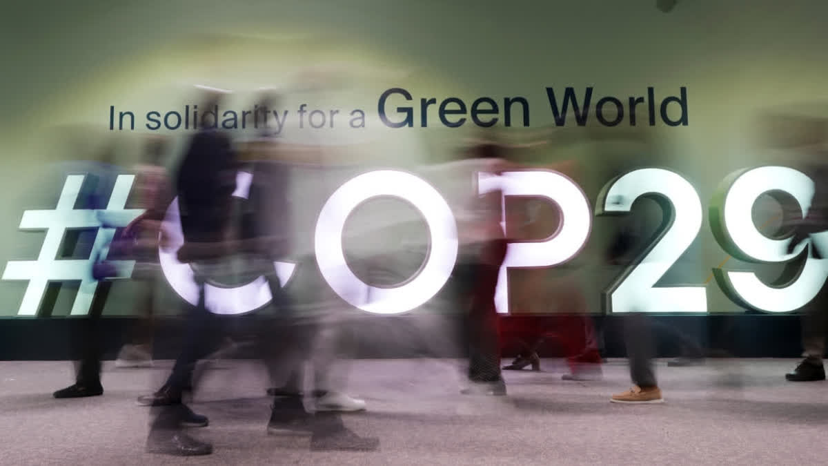 COP 29