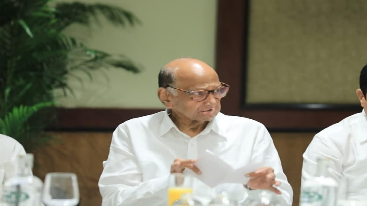 PM Modi's 'divisive' society will have no association with those allied to BJP: Sharad Pawar