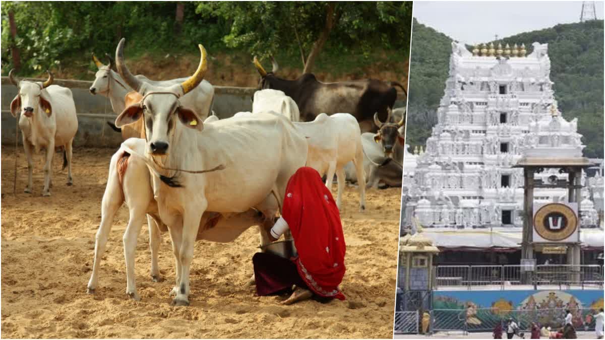 Tirumala Temple