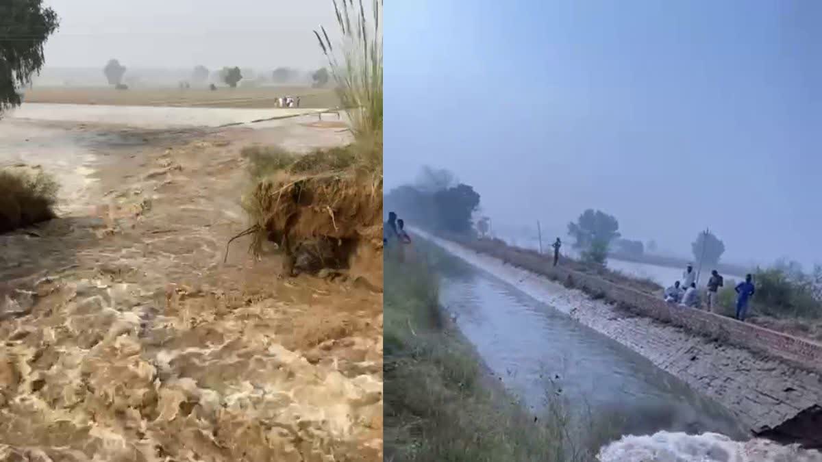 CANAL BROKEN IN FATEHABAD