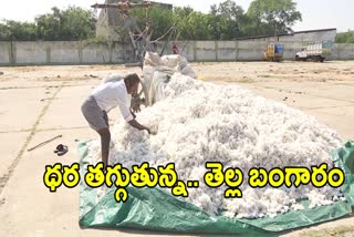 Cotton Prices Decrease