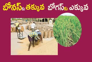 Grain Procurement in Telangana