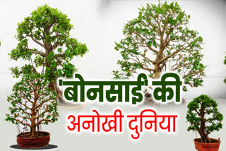 BHOPAL BONSAI EXHIBITION