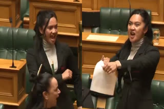 HANA RAWHITI MAIPI CLARKE  WAITANGI BILL IN NEW ZEALAND  NEW ZEALAND MP VIRAL VIDEO  NEW ZEALAND PARLIAMENT HAKA PROTEST