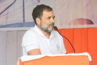 RAHUL GANDHI AGAINST BJP  JAHRKAND ELECION 2024  LATEST NEWS IN MALAYALAM  രാഹുല്‍ ഗാന്ധി നരേന്ദ്ര മോദി