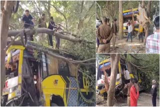 Over 50 Pilgrims Injured After Bus Collides With Tree In Haridwar