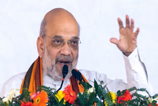 'BJP Believes In Fair Elections': Amit Shah Says His Helicopter Checked By EC