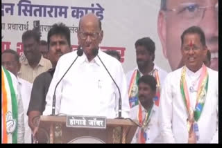 Sharad Pawar Addresses Election Rally In Kolhapur Amid Heavy Rains