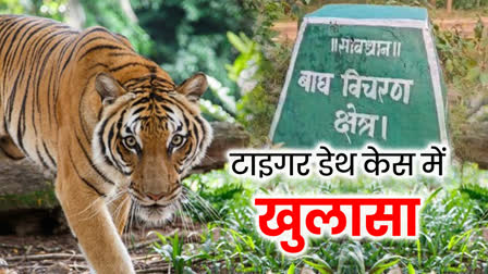 TIGER DEATH CASE INVESTIGATION