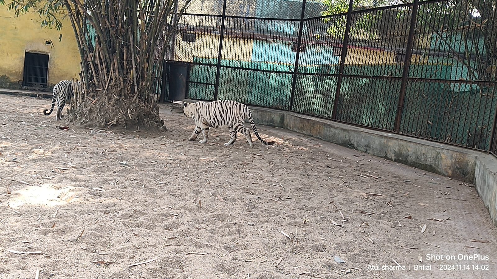 Maitri Bagh Zoo