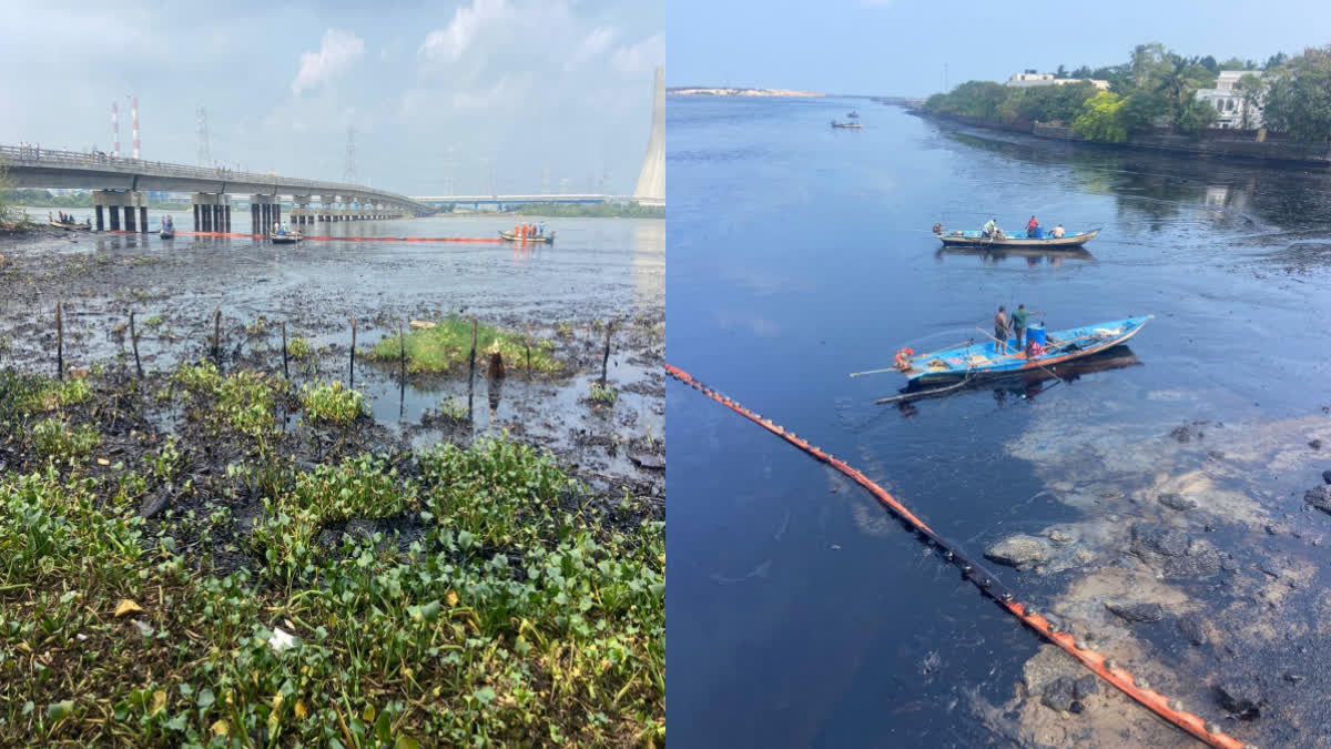 Ennore Oil Spill Decommissioning Work