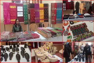 Handloom and Handicraft Exhibition In Shimla