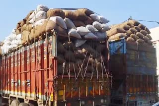 Paddy reaching procurement centers of MP from UP