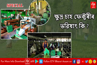 All Assam Small Tea Farmers Association