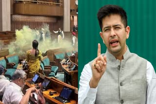 MP Raghav Chadha