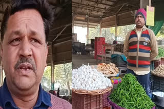 Garlic has become out of reach of common people, traders are disappointed due to price hike mansa mandi