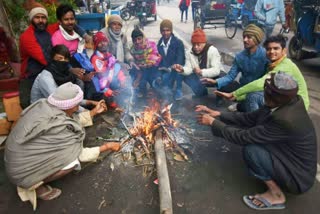 gujarat-weather-winter-latest-updates-normal-variation-in-cold-wave-imd-forecast