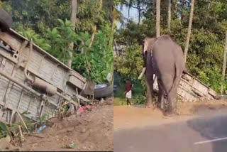 Thriprayar elephant  elephant goes berserk in Thriprayar  തൃപ്രയാറിൽ ആന ഇടഞ്ഞോടി  ആന വിരണ്ടോടി  ആന  elephant  തൃപ്രയാർ ശ്രീരാമ സ്വാമി ക്ഷേത്രം  Thriprayar Shree Ramaswami Temple  ശീവേലി എഴുന്നള്ളിപ്പ്‌  Seeveli