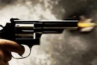 Collector's gunman committed suicide