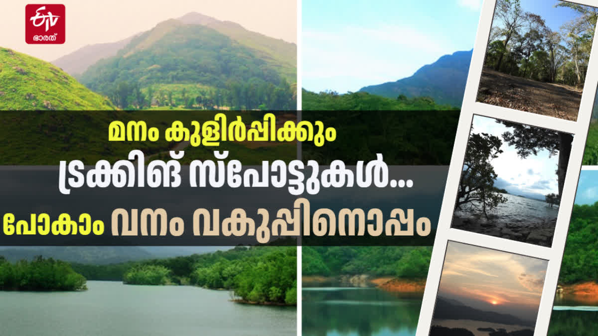 TREKKING IN WILDLIFE SANCTUARIES  FOREST DEPARTMENT TOUR PACKAGES  WILDLIFE SANCTUARY TREKKING KERALA  MAJOR TREKKING SPOTS IN KERALA