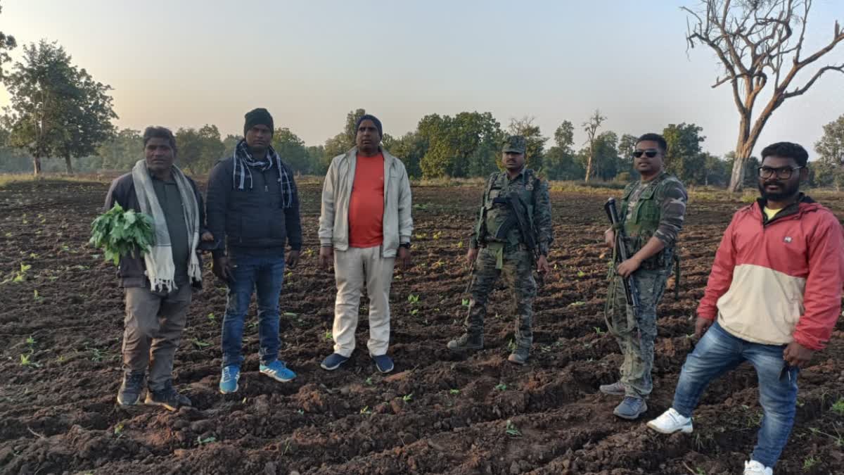 15-acres-of-poppy-crop-destroyed-in-palamu