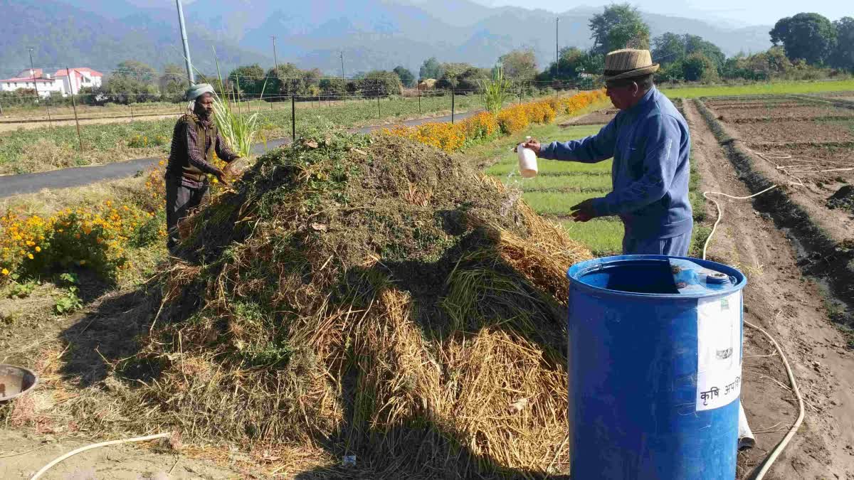 Farmer Narendra Mehra