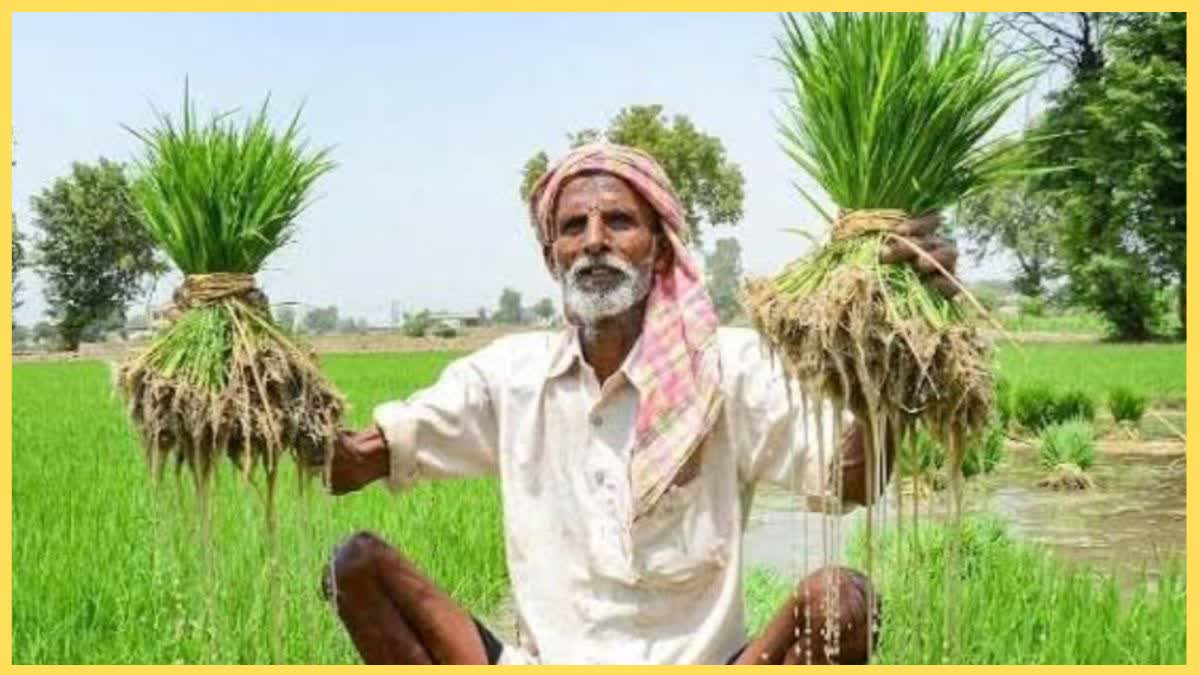 PRADHAN MANTRI FASAL BIMA YOJANA