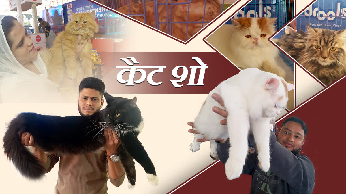 BHOPAL CAT SHOW