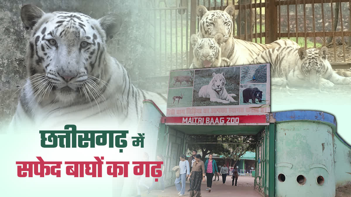 MAITRI BAAG ZOO