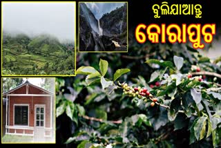 କୋରାପୁଟ ଯାଉଥିଲେ ନିଶ୍ଚୟ ବୁଲନ୍ତୁ ଏହି 6 ପର୍ଯ୍ୟଟନସ୍ଥଳୀ