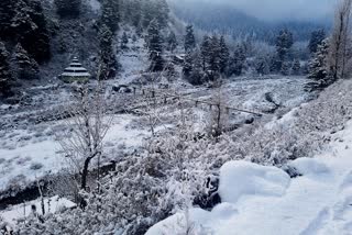 A view of snow covered landscape in Kashmir