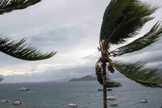 At Least 11 Dead In French Territory Of Mayotte As Cyclone Chido Causes Devastating Damage