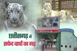 MAITRI BAAG ZOO