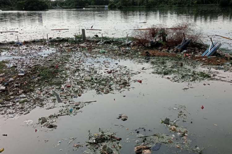 hebbala-pond-water-polluted-thousands-of-fish-lost-their-lives