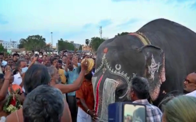 gajendra moksham  srirangam temple  srirangam temple gajendra moksham  கஜேந்திர மோட்சம்  சித்ரா பௌர்ணமி விழா  கஜேந்திரனுக்கு மோட்சம் அளித்த நம்பெருமாள்  ஸ்ரீரங்கத்தில் கஜேந்திர மோட்ச விழா