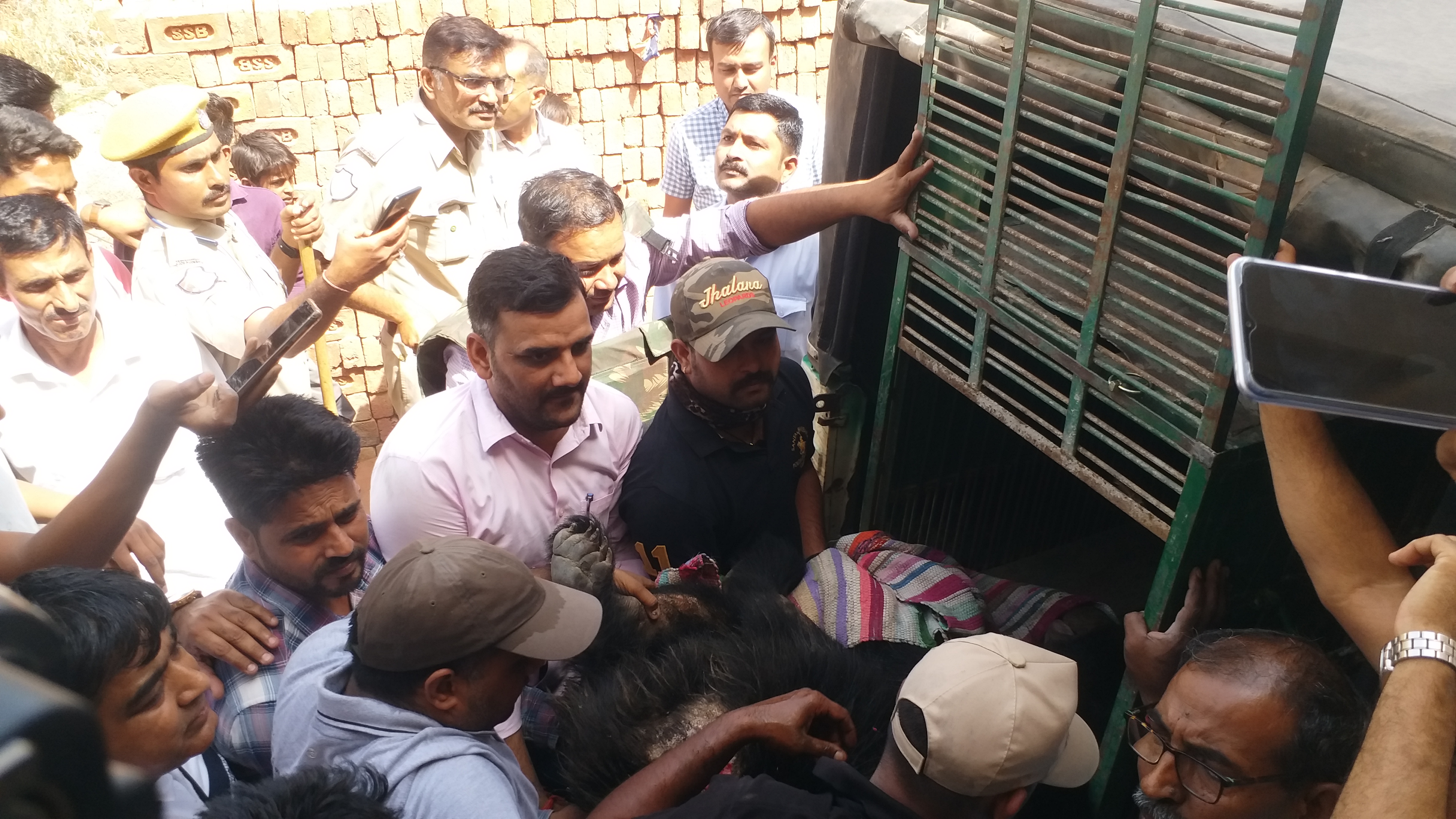 bear rescue operation in Jaipur