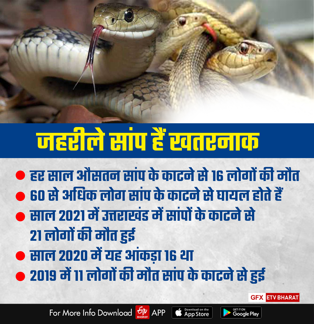 death-toll-due-to-the-bite-of-poisonous-snakes-is-frightening-in-uttarakhand