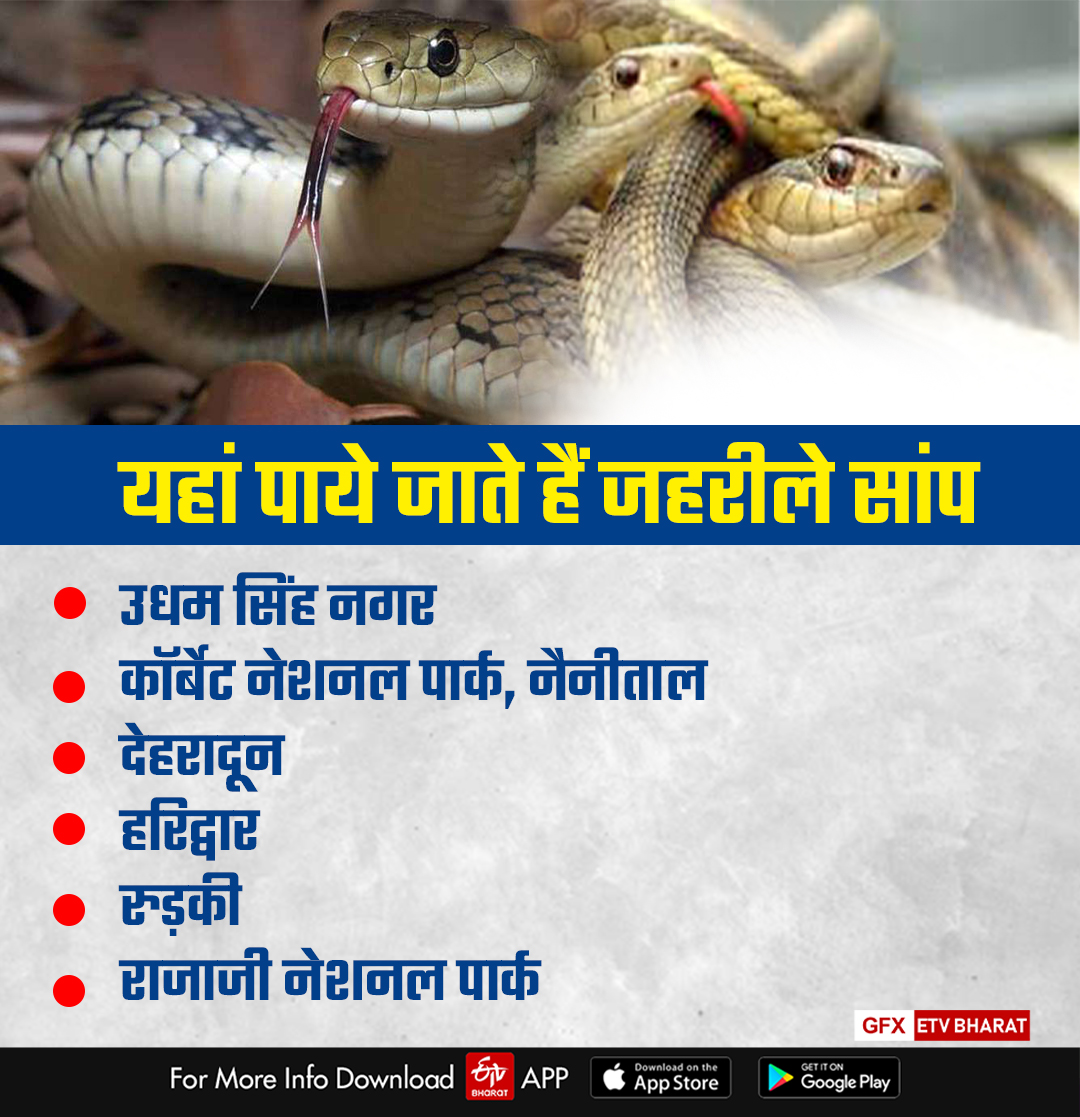 snake bite in Uttarakhand
