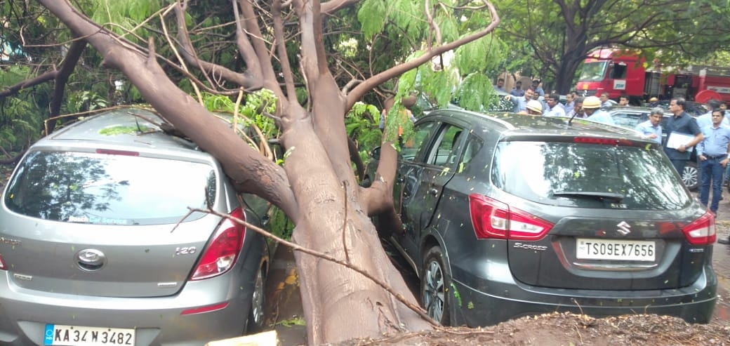 ಕಾರುಗಳ ಮೇಲೆ ಮುರಿದು ಬಿದ್ದ ಮರ