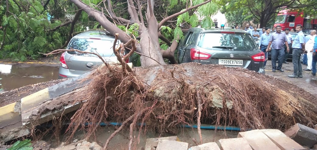 ಬಿರುಗಾಳಿ ಮಳೆಗೆ ಬುಡ ಸಮೇತ ಕಿತ್ತು ಬಂದ ಮರ