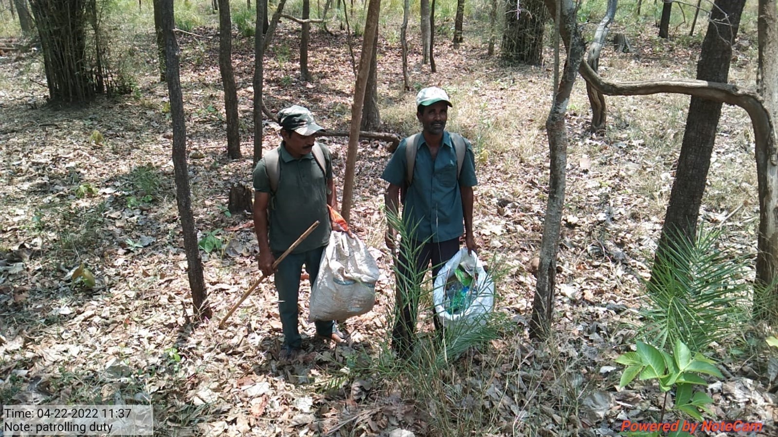 telangana government planning to plastic free forests