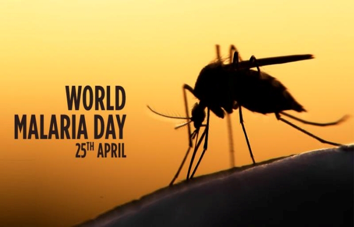 world malaria day