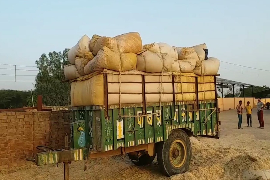 dry fodder crisis in haryana