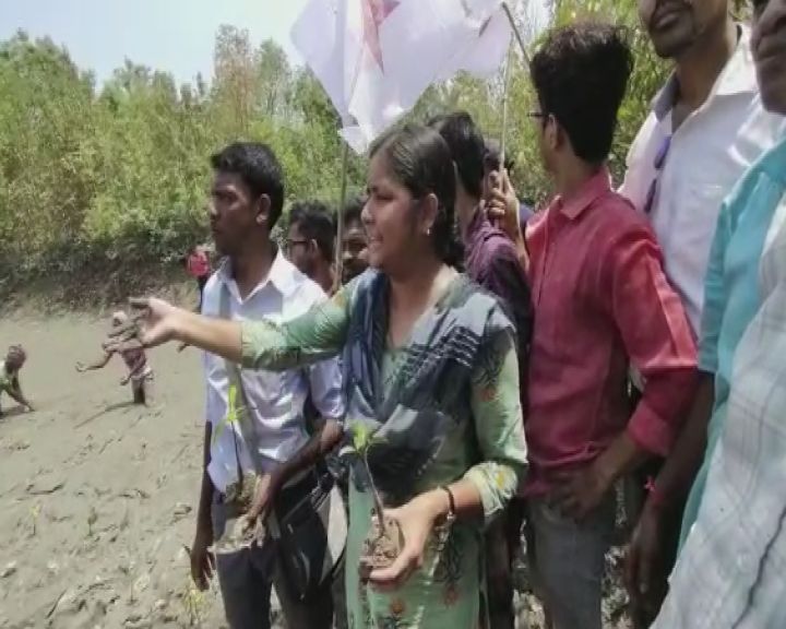 DYFI planting trees in Sundarbans to save Mangroves