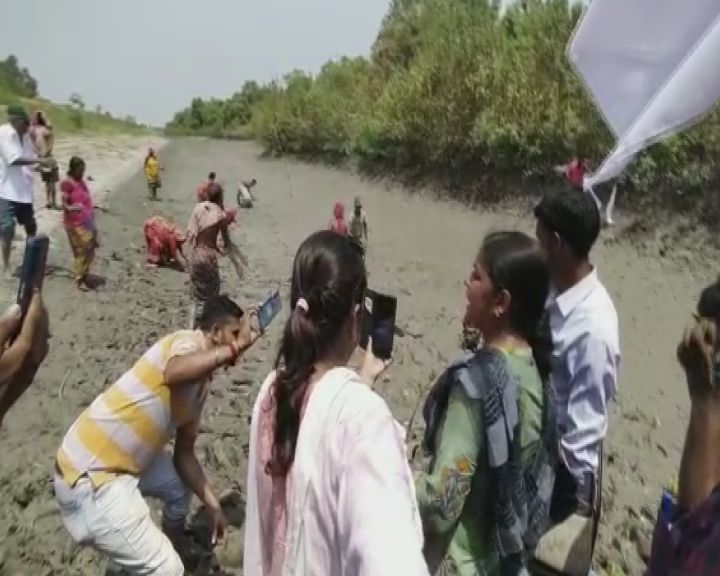 DYFI planting trees in Sundarbans to save Mangroves