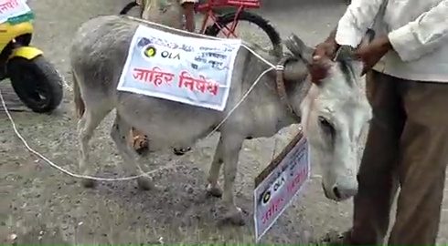 man-ties-faulty-electric-scooter-to-donkey