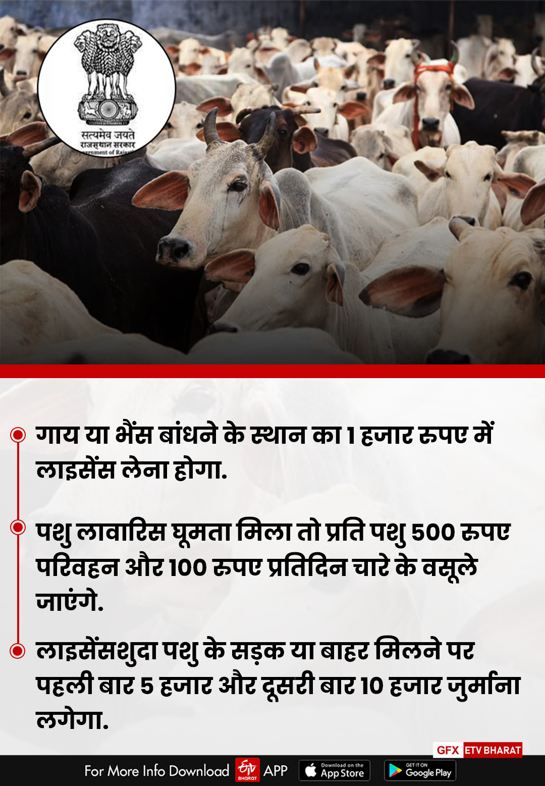 Rajasthan cow laws
