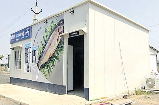 died fish are being sold in aqua hub at pulivendula in kadapa